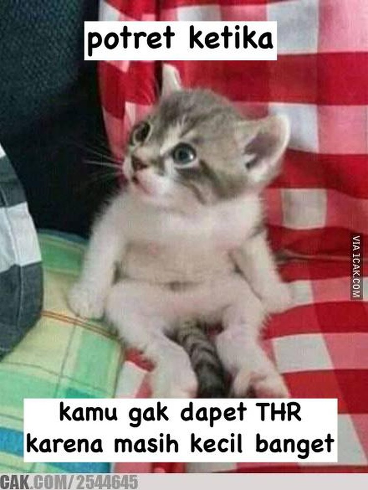 Meme Kocak Perjuangan Berburu THR, Ayo Baris yang Rapi! Pasti waktu kecil kamu merasakan serunya kegiatan berburu THR. Kalau sekarang sih sudah besar, jadinya kamu yang harus berbagi, hihi.