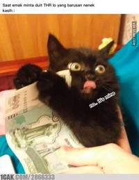 Pasti waktu kecil kamu merasakan serunya kegiatan berburu THR. Kalau sekarang sih sudah besar, jadinya kamu yang harus berbagi, hihi.