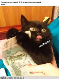 Pasti waktu kecil kamu merasakan serunya kegiatan berburu THR. Kalau sekarang sih sudah besar, jadinya kamu yang harus berbagi, hihi.