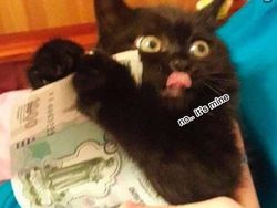 Meme Kocak Berburu THR Lebaran, Ayo Baris yang Rapi!