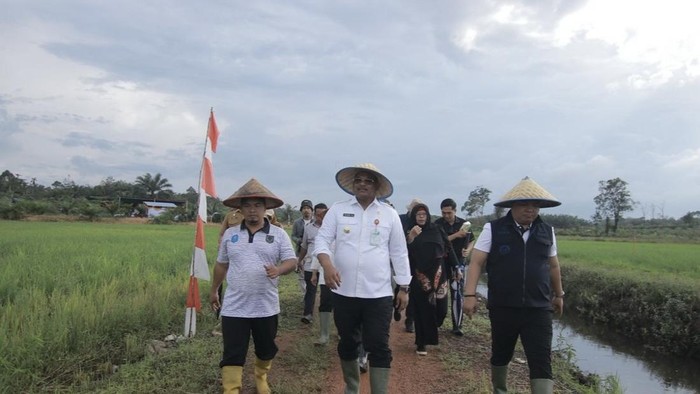 Penjabat (Pj) Gubernur Bangka Belitung (Babel), Safrizal Zakaria Ali.