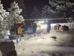Pesawat Kecil Jatuh di California, Seluruh Penumpang Tewas