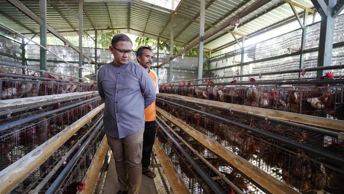 Pj Wali Kota Batu Aries Agung Paewai saat meninjau peternakan ayam petelur