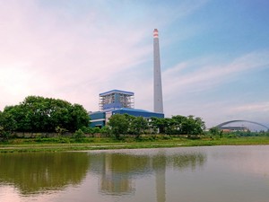 Tekan Emisi, PLTU Adipala di Cilacap Bakal Jadi Hutan Tanaman Energi
