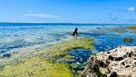 Pantai Gunung Payung, yang Berair Tenang di Samudra Hindia