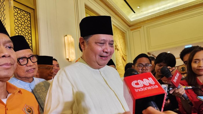 Airlangga Hartarto (Azhar/detikcom)