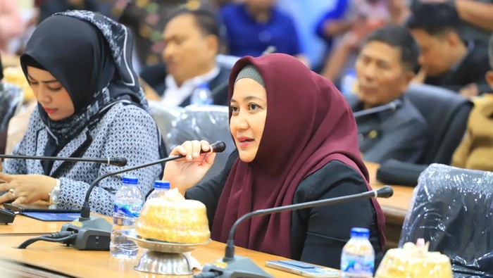 Anggota DPRD Sulsel Fraksi NasDem Desi.