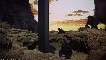 Rendering artistik menunjukkan bahwa black box Bumi ini serupa monolit hitam seperti di film fiksi ilmiah 2001: A Space Odyssey. Foto: via Daily Mail