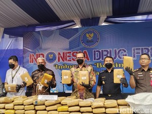 BNN Gagalkan Peredaran 200 Kg Ganja dari Lahan 4 Hektare di Aceh