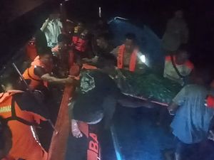 Warga Digigit Komodo Saat Cari Madu, Dievakuasi ke RS di Labuan Bajo