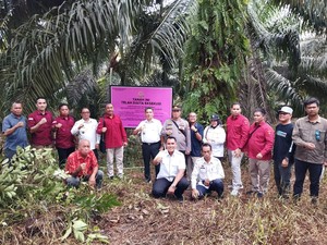Jaksa Sita Kebun Sawit 0,49 Hektare Milik Terpidana Jono Pinem di Kalbar