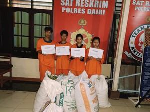 2 Pasutri-1 Remaja di Dairi Curi 8 Karung Cabai di Kebun Warga