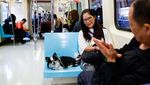 Kereta Ramah Hewan Peringati Hari Hewan Peliharaan di Taiwan