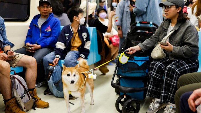 People ride on the metro with their pets on a special one-day event that allows pets to travel on the metro without cages to celebrate National Pet Day in Taipei, Taiwan March 31, 2024. REUTERS/Ann Wang