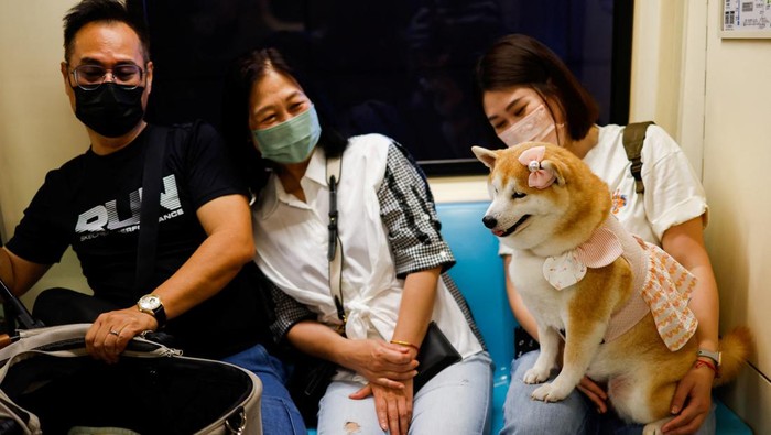 Kereta Ramah Hewan Peringati Hari Hewan Peliharaan Internasional di Taiwan People ride on the metro with their pets on a special one-day event that allows pets to travel on the metro without cages to celebrate National Pet Day in Taipei, Taiwan March 31, 2024. REUTERS/Ann Wang