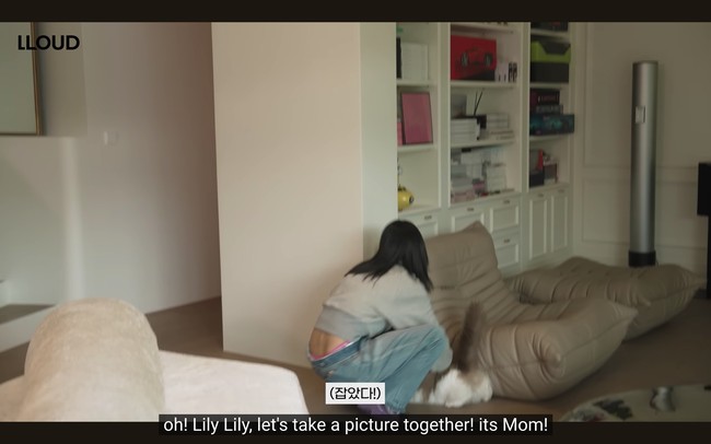 Kini Lisa BLACKPINK merawat anak bulunya di rumahnya sendiri. Dia memperkenalkan Lily, yang merupakan hasil perkawinan salah satu kucingnya Luca dan kucing Jennie BLACKPINK, Jennie the Cat. Namun, sejumlah penggemar salah fokus menyorot ruang bersantainya dengan rak penuh box bergambar mobil sport. Foto: dok. YouTube @wearelloud