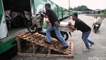 Momen DJKA Berangkatkan Perdana Kereta Api Angkutan Motor