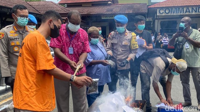 Pemusnahan ganja di halaman Polresta Sorong Kota.