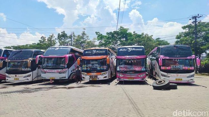 Perusahaan otobus (PO) rute Makassar-Palopo, Sulsel.