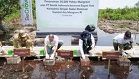 Kerja sama ini merupakan bagian dari prioritas strategi nasional yang menargetkan rehabilitasi lahan mangrove seluas 600.000 hektar di seluruh Indonesia sesuai dengan Rencana Pembangunan Jangka Menengah Nasional (RPJMN) 2020-2024. 
