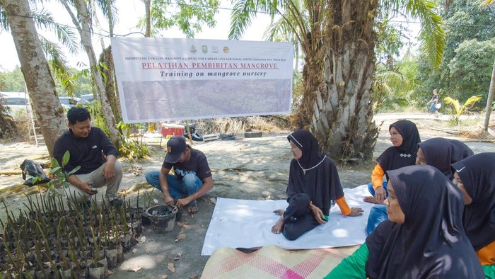 Potret Rehabilitasi Mangrove di Kabupaten Siak Nestlé Indonesia dan Badan Restorasi Gambut dan Mangrove (BRGM) berkolaborasi melakukan penanaman 30.000 pohon mangrove di Kabupaten Siak, Riau. Ini dalam rangka mendukung percepatan rehabilitasi mangrove.