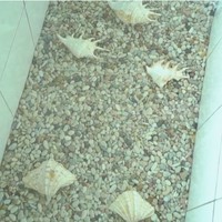 Alih-alih ikan, dr. Boyke membuat kolam khusus untuk keong di bawah lantai transparan.  (Foto: YouTube/Trans7 Official)