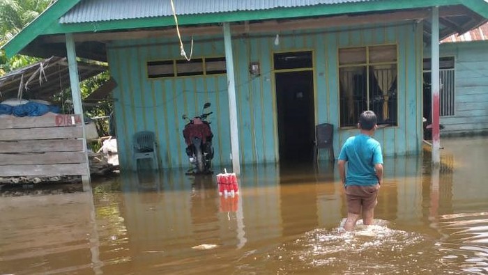 Rumah warga di Luwu Utara terendam banjir.