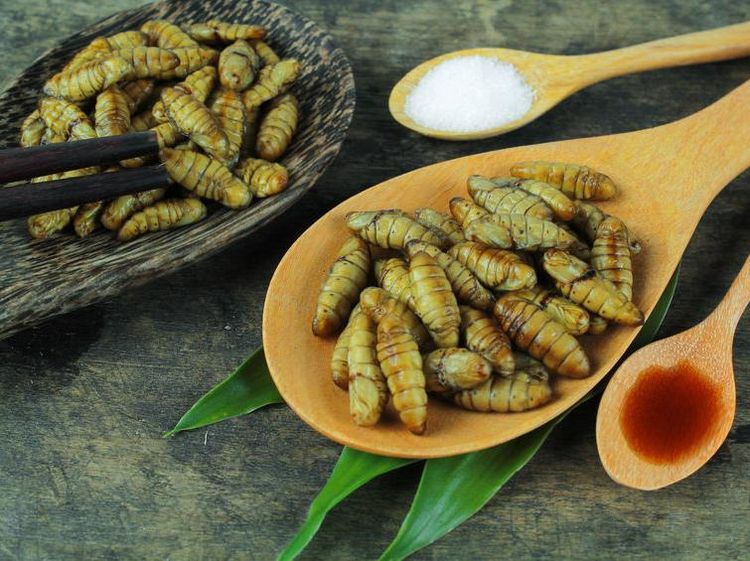 10 Makanan Jepang Paling Unik, Ada Olahan Ikan Fugu sampai Ulat!
