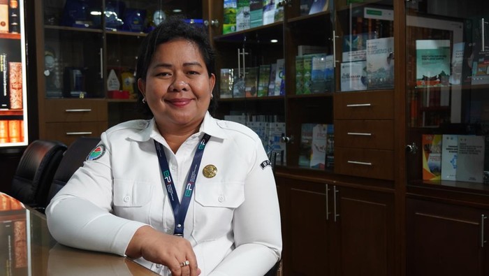Fince Decima Hasibuan, Sekretaris Badan Pengembangan dan Informasi Desa, Daerah Tertinggal dan Transmigrasi