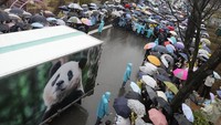 Saat truk yang membawa Fu Bao perlahan-lahan bergerak ke alun-alun di tengah hujan, banyak pengunjung yang mengenakan jas hujan atau payung mengibarkan bendera, meneriakkan pesan perpisahan dan mengambil foto dengan ponsel mereka. Beberapa menangis dengan keras.