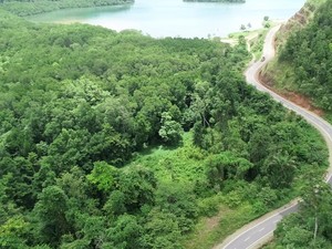 Waskita Rampungkan Proyek Jalan Kwatisore-Muri di Papua Tengah
