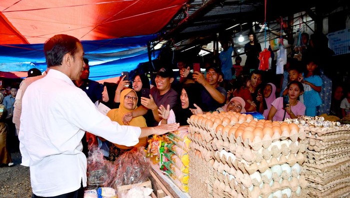 Jokowi di Jambi
