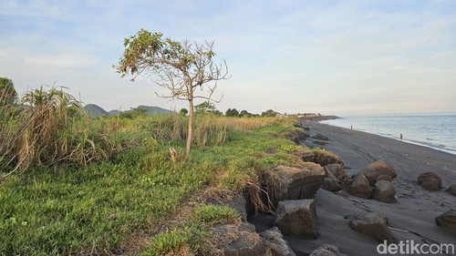Lahan warga hilang tergerus abrasi di Pantai Gunaksa, Klungkung, Rabu (3/4/2024).