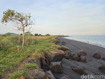 Video: Abrasi Pantai Monggalan Klungkung Makin Parah, Warga Minta Ada Tanggul