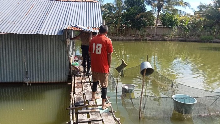 Lokasi tempat bocah 4 tahun ditemukan tewas tenggelam di tambak ikan.