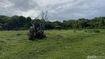 Menyusuri Ekowisata Mangrove di Pantai Baros