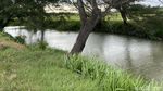 Menyusuri Ekowisata Mangrove di Pantai Baros