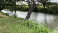 Wisata kano disepanjang aliran sungai juga menjadi tujuan para wisatawan.