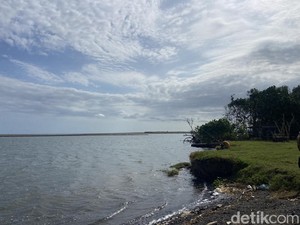 Sabana Tersembunyi di Pantai Baros, Ijo-ijonya Menyegarkan Mata