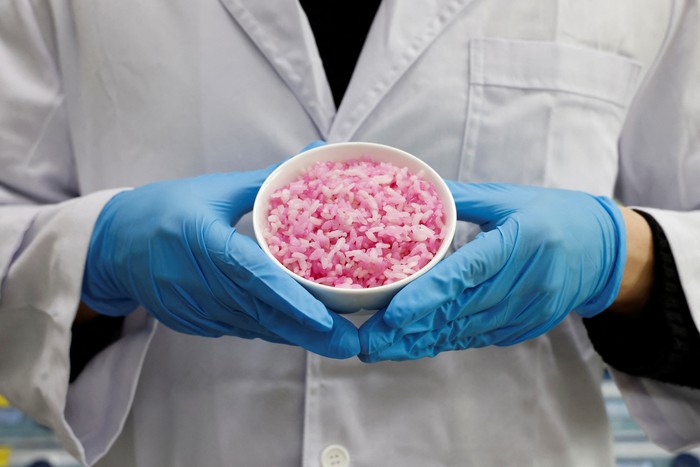 A researcher holds a bowl of hybrid beef rice, elaborated using cow muscle and fat stem cells, at the laboratory of Yonsei University in Seoul, South Korea, March 8, 2024. REUTERS/Kim Soo-hyeon