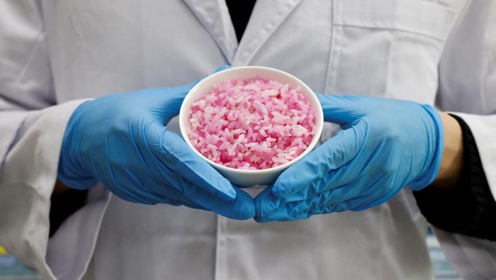 A researcher holds a bowl of hybrid beef rice, elaborated using cow muscle and fat stem cells, at the laboratory of Yonsei University in Seoul, South Korea, March 8, 2024. REUTERS/Kim Soo-hyeon