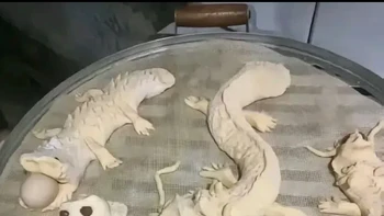 Niat mau bikin kue bentuk naga katanya. Foto: TikTok/fitriirahmadhanii26