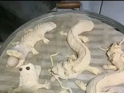 Momen Kocak Netizen Bikin Kue Lebaran yang Tak Sesuai Harapan