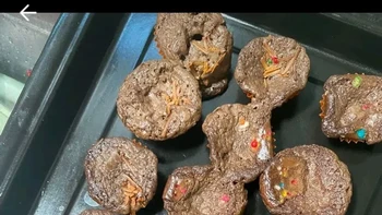 Hasilnya tak seindah harapan. Foto: TikTok/fitriirahmadhanii26