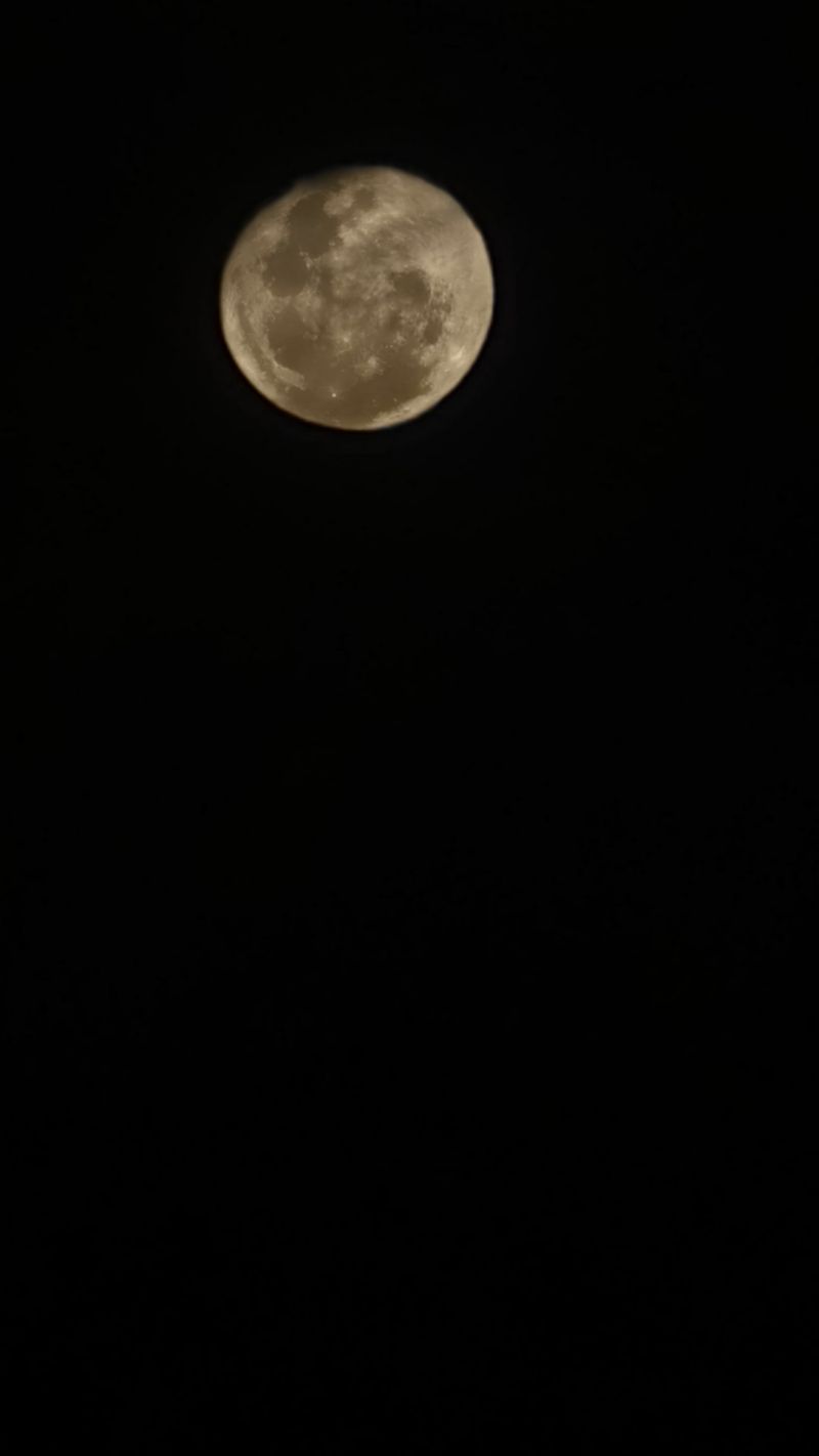 Vivo v30 Pro