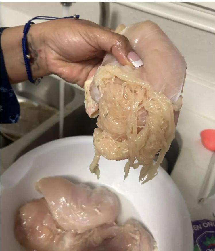Ayam Spaghetti, Fenomena Unik Daging Dada Ayam Mirip Lembaran Spaghetti