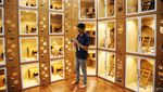 Ciamik! Tempat Penitipan Hewan Ini Seperti Hotel