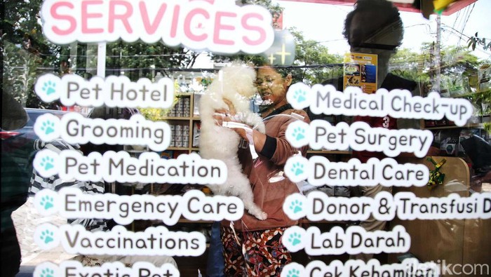 Aktivitas pekerja mengeringkan bulu anjing setelah dimandikan dan merawat kucing saat dititipkan di Benben Petcare, Danau Sunter Utara, Sunter Agung, Jakarta Utara, Kamis (4/4/2024). Menjelang Hari Raya Idul Fitri 1445 Hijriah, sejumlah warga menitipkan kucing peliharaannya di tempat tersebut selama ditinggal mudik lebaran dan dikenakan biaya jasa penitipan mulai Rp100.000 hingga Rp195.000 dengan tiga kategori ruang standar, VIP, VVIP untuk Kucing dan Deluxe, Superior untuk ruangan anjing berdasarkan bobot berat hingga mencapai 25 Kg.