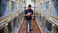 Petugas sedang menggendong seekor anjing yang dititipkan di Benben Petcare, Jakarta Utara.