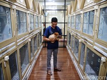 Ciamik! Tempat Penitipan Hewan Ini Seperti Hotel